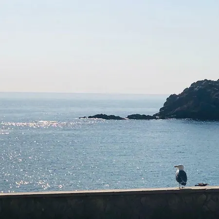 Bunker Premier - Sea Views Tossa de Mar